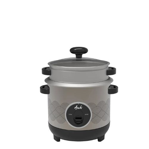 Asahi RC31