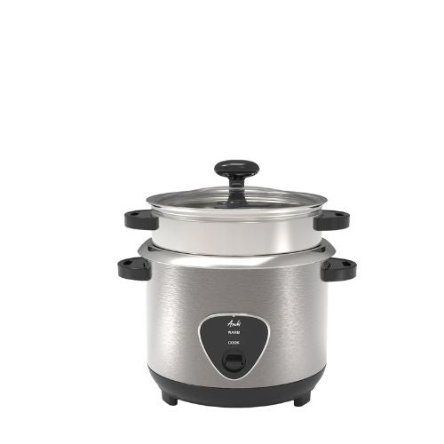Asahi RC 102
